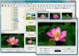 FastStone Image Viewer . 5.3